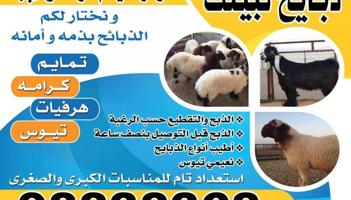 إعلان عن للبيع ذبايح