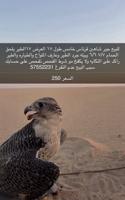 إعلان عن انا مجرد معلن