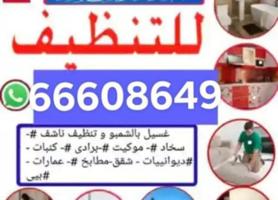 إعلان عن غسيل بالشامبو - تنظيف ناشف - غسيل سجاد برادي - اثاث - كنفات - شقق - فل