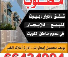 إعلان عن للايجار شقه ارضيه بالقصور ٣غرف ٣حمام وصاله ومطبخ